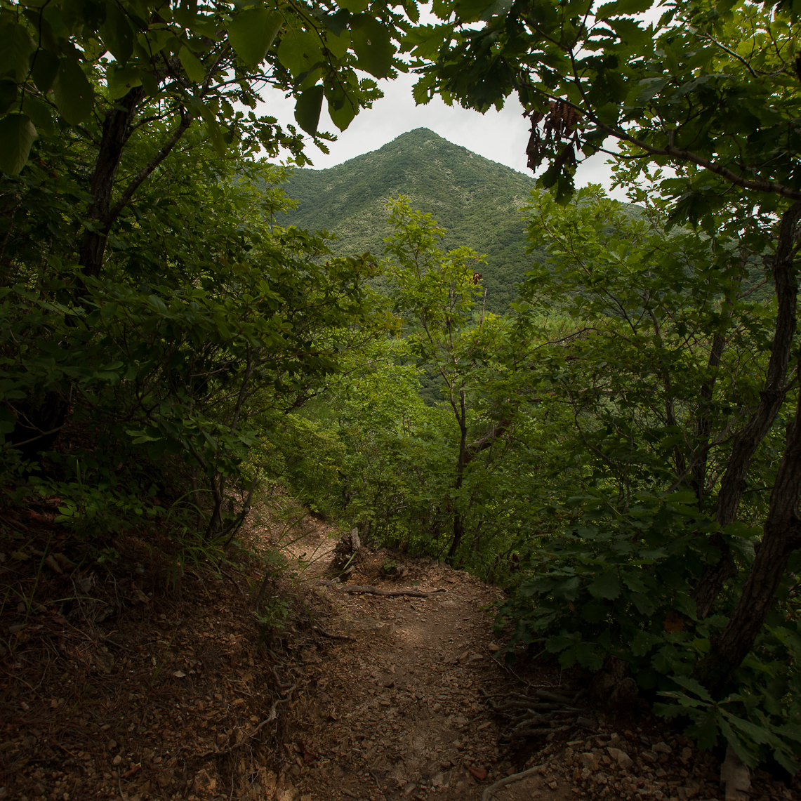 Daewoon Mtn 8 / 22