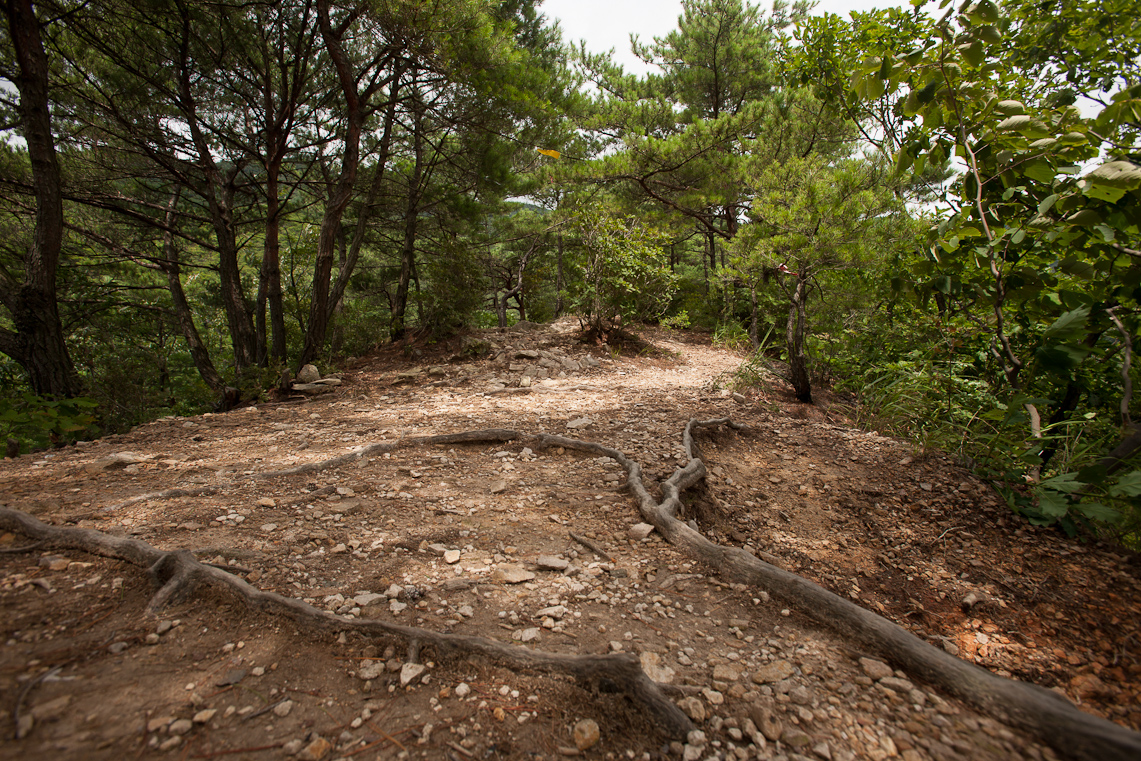 Daewoon Mtn 9 / 22