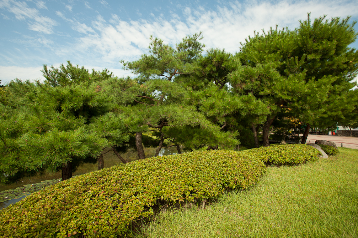 Ulsan Grand Park 9 / 36