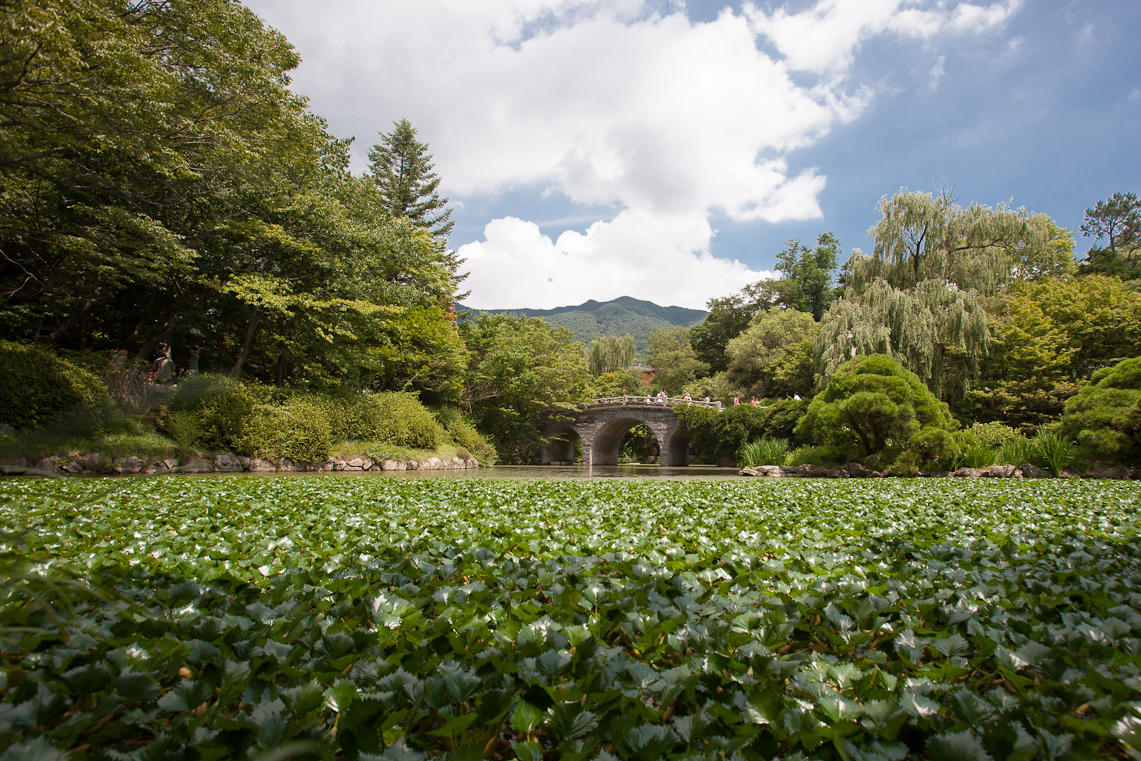Gyeongju 28 / 33
