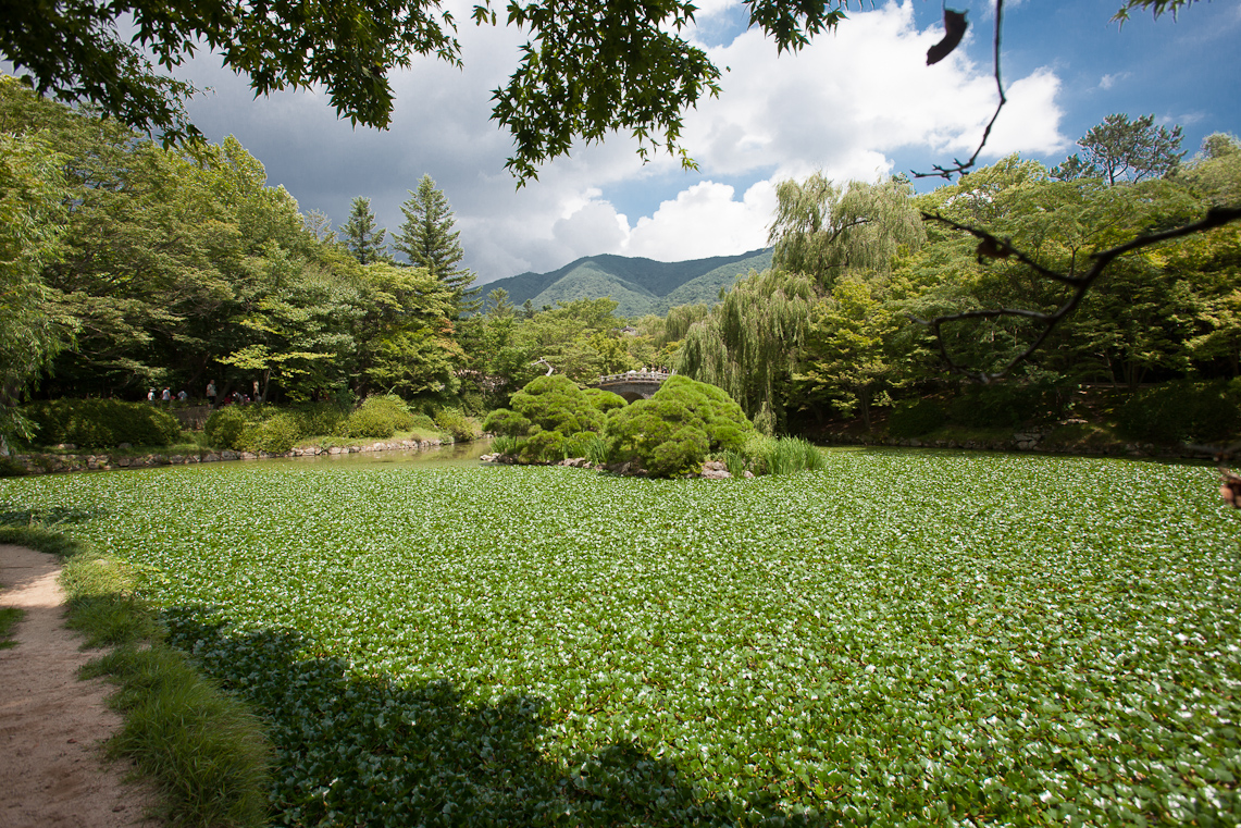 Gyeongju 29 / 33